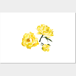 yellow peony on blue Posters and Art